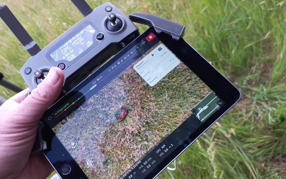 Dieren verschuilen zich in hoge grassen. Met een drone kunnen deze worden opgespoord.