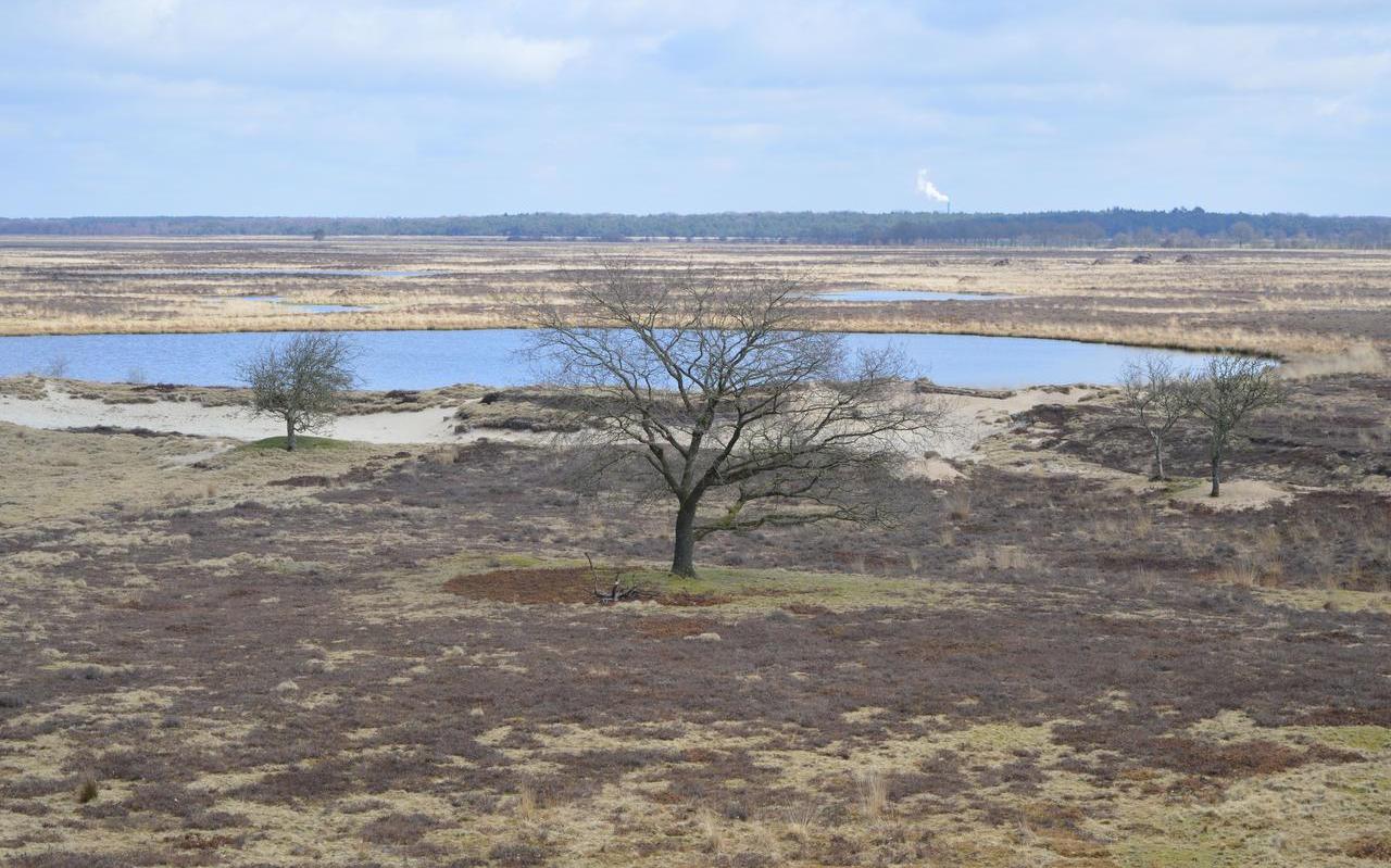 Uitzicht Dwingelderveld vanaf nieuwe uitklijktoren Uitzicht Dwingelderveld vanaf nieuwe uitklijktoren