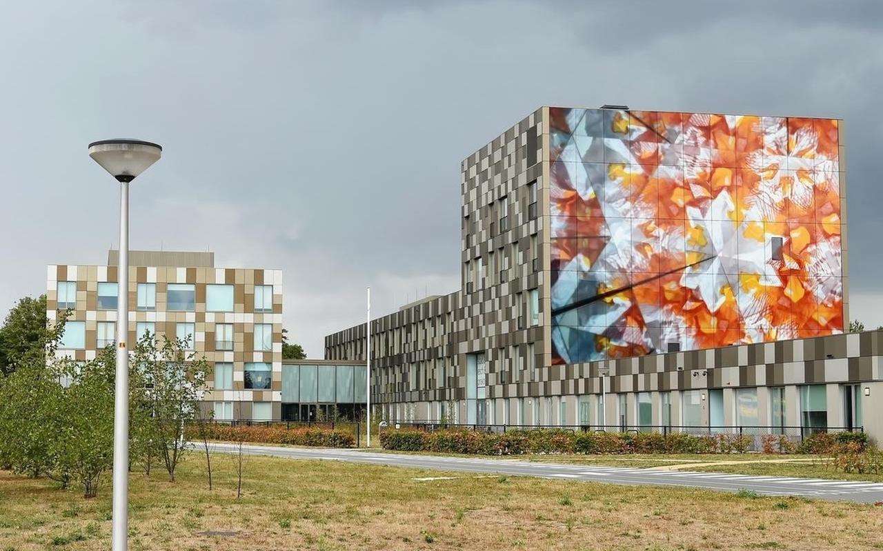 Stad en Esch Ezinge. Stad en Esch Ezinge.