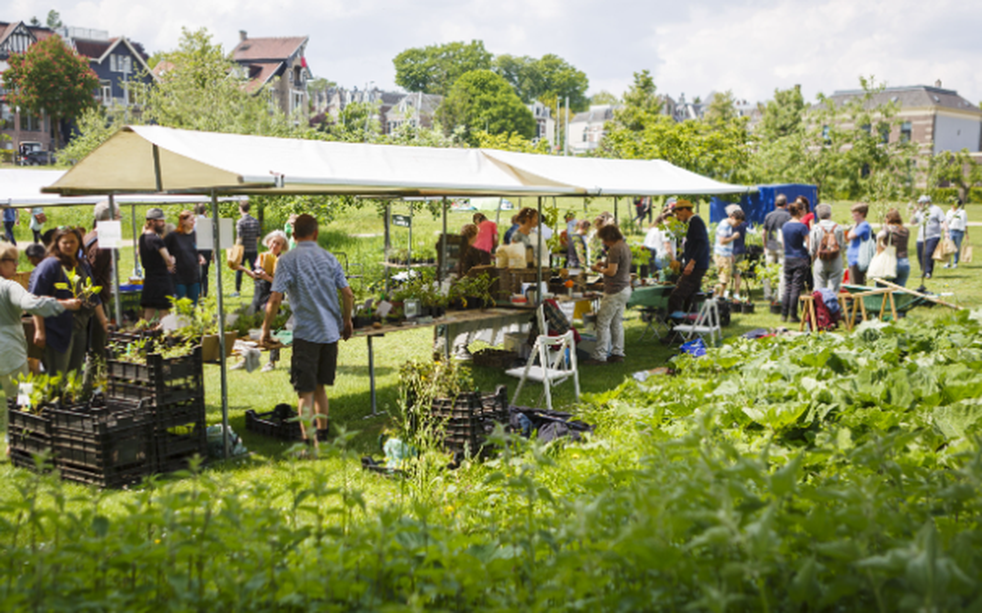 De Groenmarkt vind plaats in de Pluktuin.