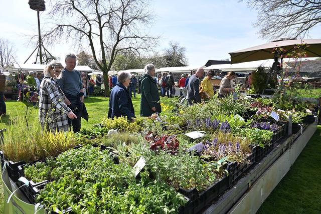 Bloesemfair bij De Karstenhoeve in Ruinerwold