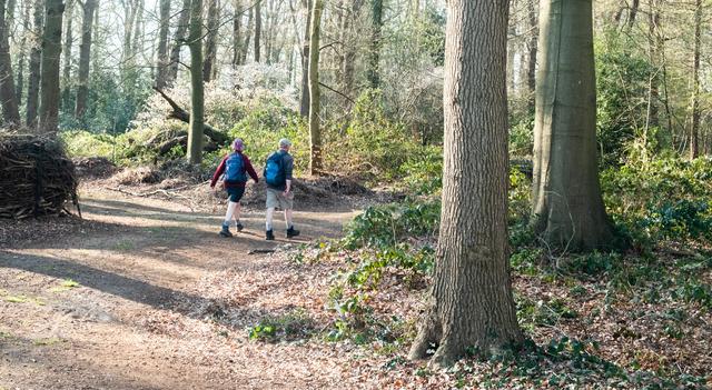 Krentenbloesemtocht in Dwingeloo: 77e editie gaat weer voor meer 1000 wandelaars
