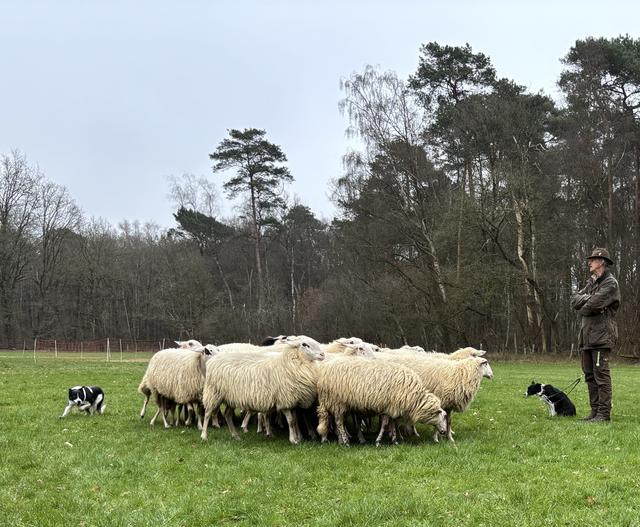 Herder Willem Dijkema vertelt bij Verhalencafé in de Spil