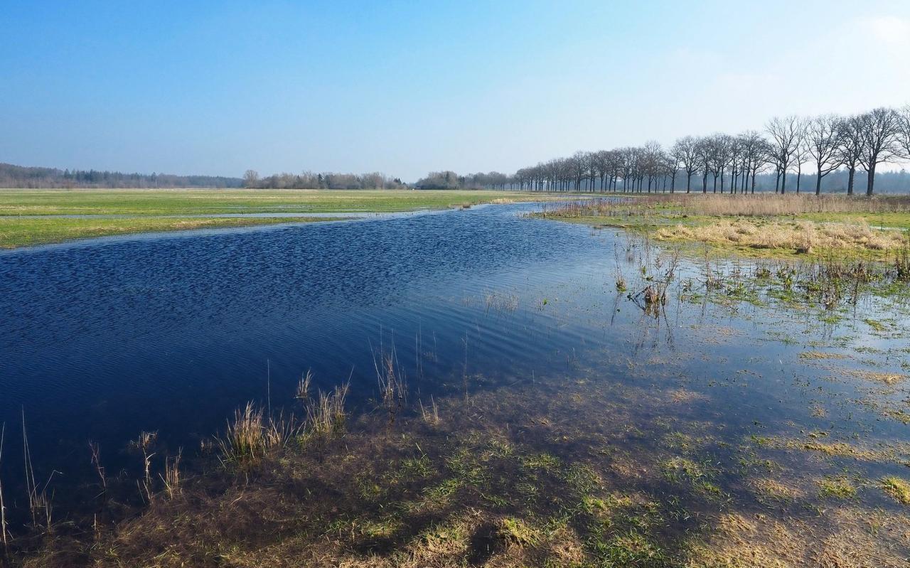 Landbouwgrond in Drents-Friese Wold is nu weer natuur