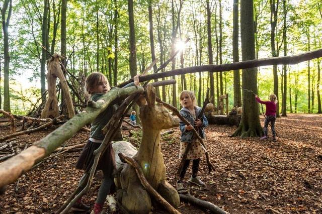 Hardlopers AG’85 doneren (weer) geld voor de renovatie van het Belevingspad in de Zwarte Dennen in S