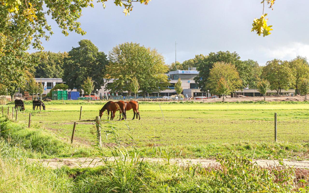 De gemeente Noordoostpolder stemt in met een zonnepark aan de rand van het Waterloopbos.