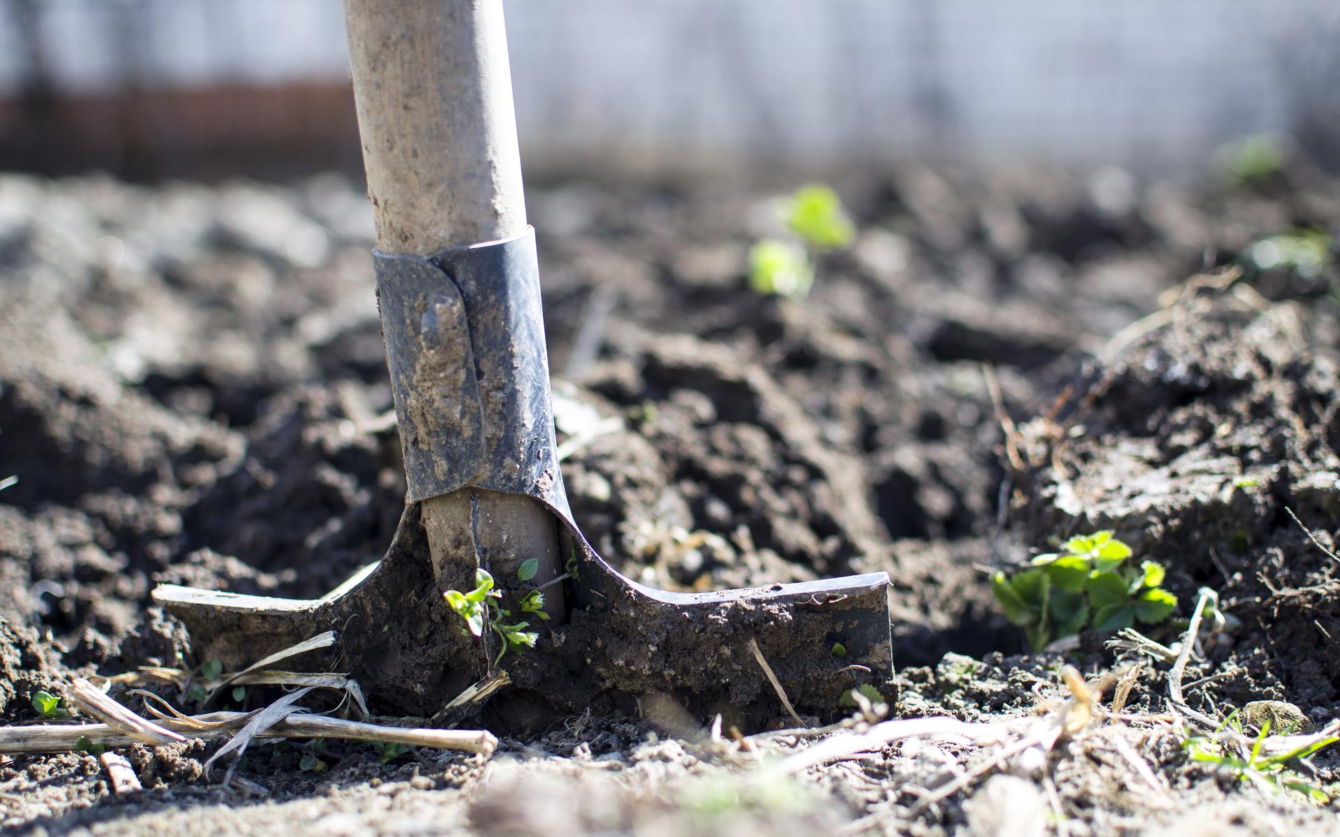 Een gezonde bodem is de basis voor een gezonde tuin.