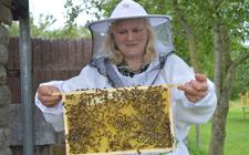 Imkerin Angelique Schipper toont een raat vol bijen uit één van de bijenkasten.