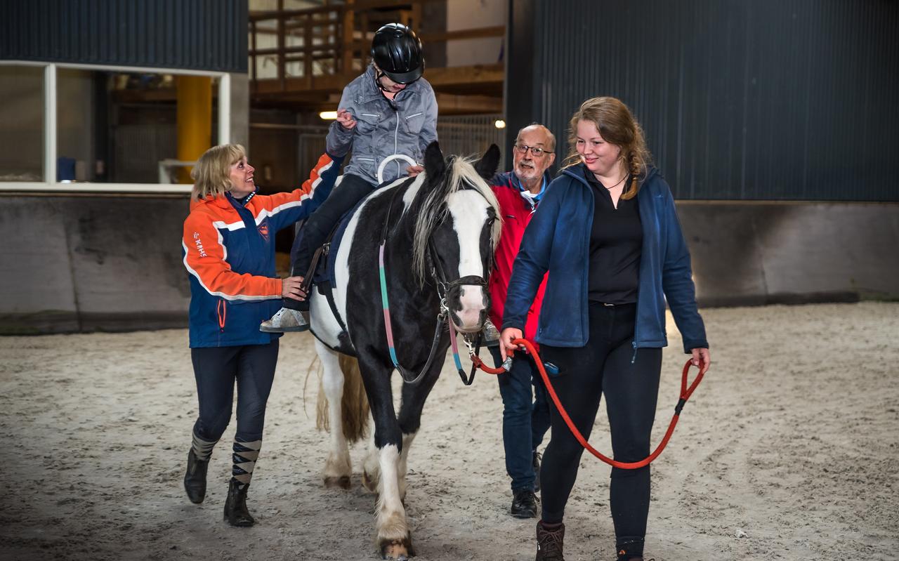 Manege De Baander in Meppel. Manege De Baander in Meppel.