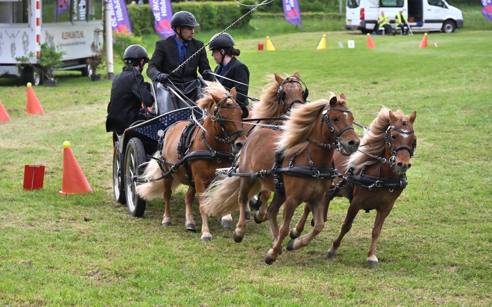 Een snel vierspan met pony's tijdens de vaardigheidsproef op zaterdag bij de samengestelde menwedstrijd.