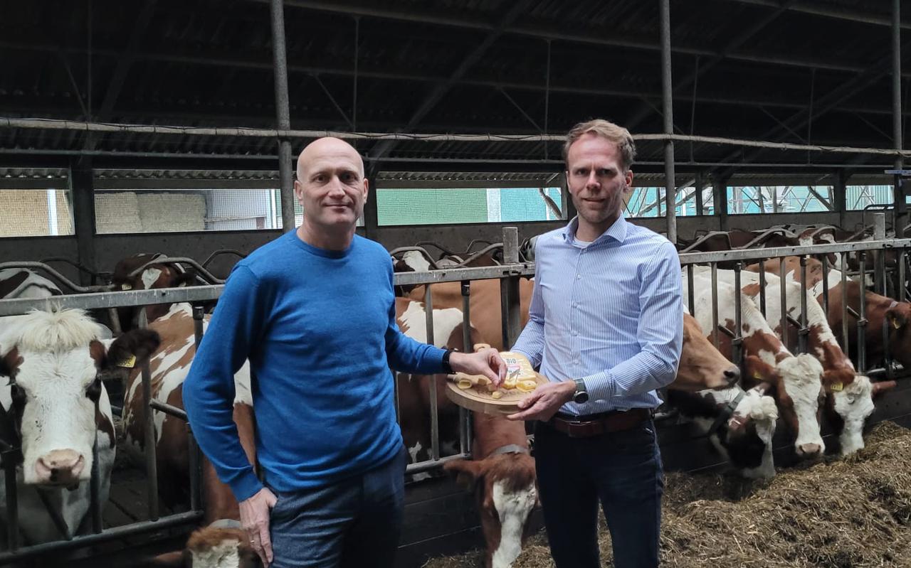 Algemeen directeur Klaas Hokse (links) en adviseur veehouderijzaken Henry Visscher keuren de kaas.