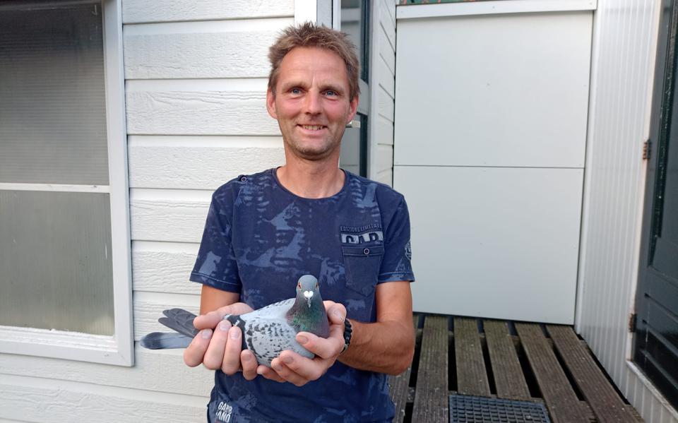 Jan Heide klokte de winnende duif van alle 19.486 deelnemende duiven van afdeling 10 (Noord Oost Nederland).