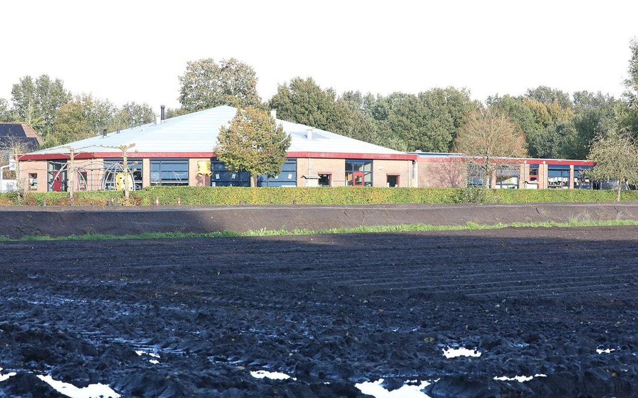 Het pioenrozenveld met op de achtergrond basisschool De Singelier.