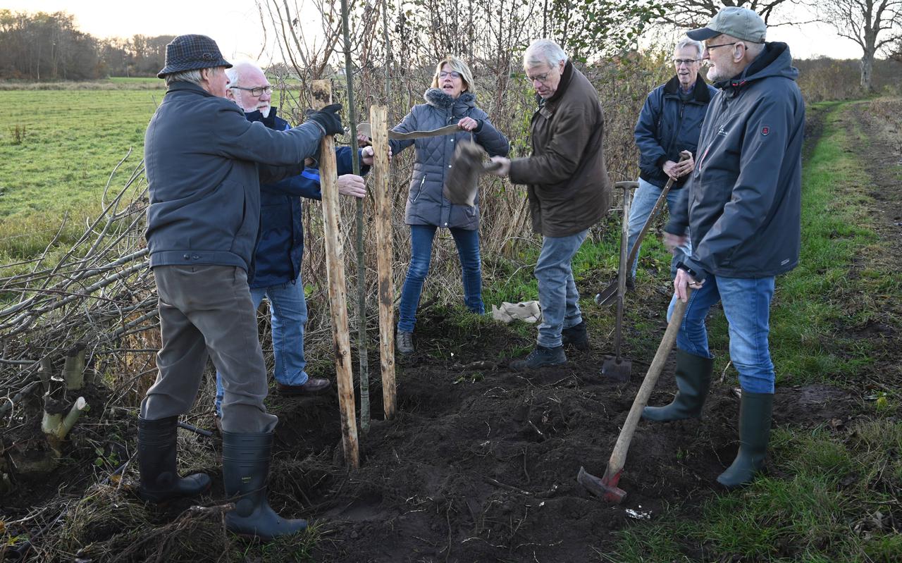 Met vereende krachten wordt boom na boom geplant op de grens van landgoed Dickninge en het Reestdal.