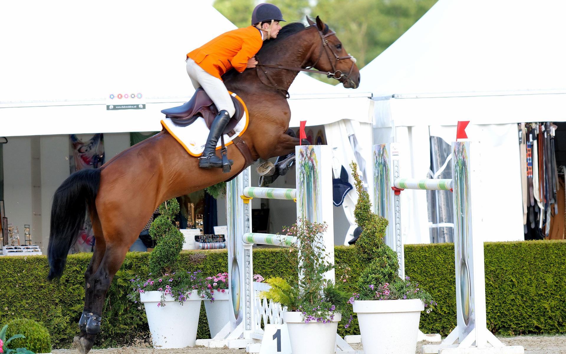 Third place on the podium in Wengen for the Dutch equestrian team, but Belgium was the best of the Young Riders