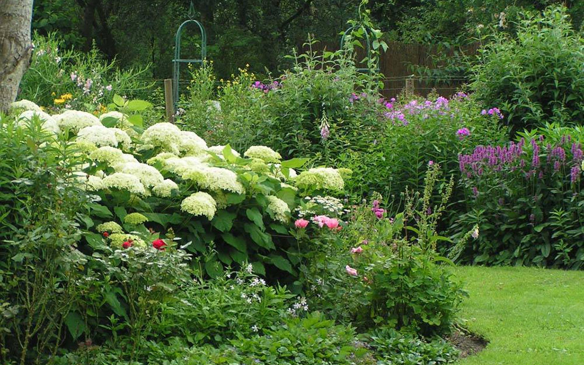 De tuin van Irene Brave in Veeningen.