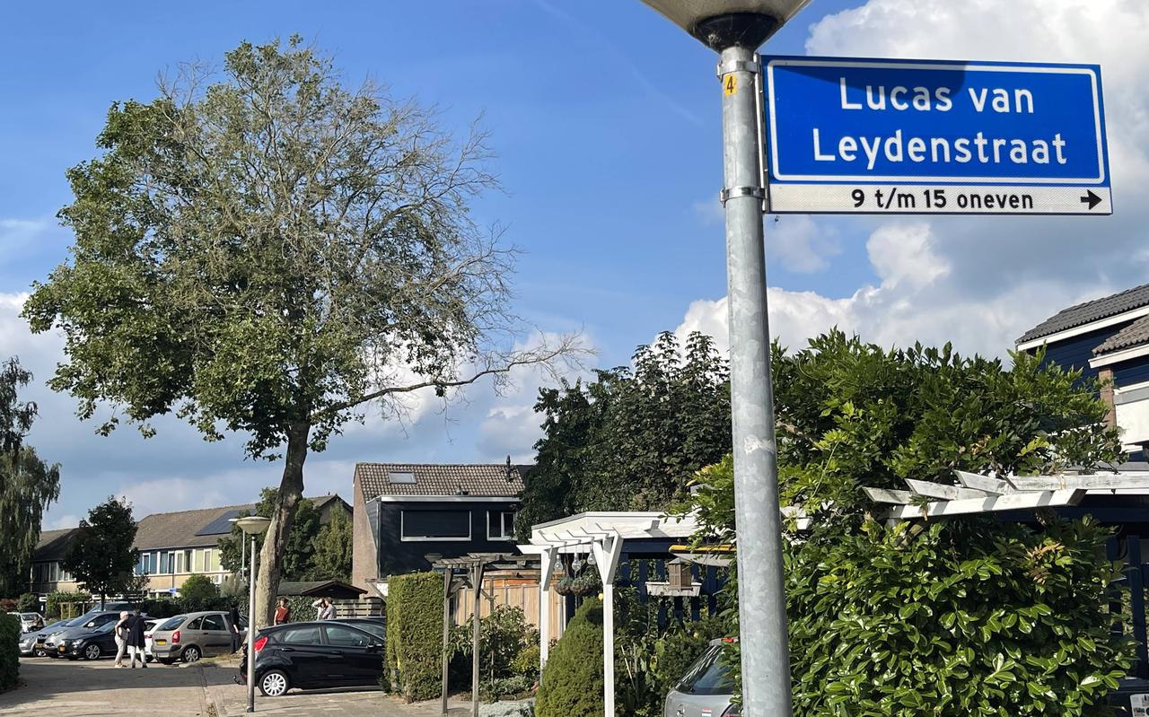 De plataan in de Lucas van Leydenstraat trok zaterdagmiddag direct veel belangstelling. 