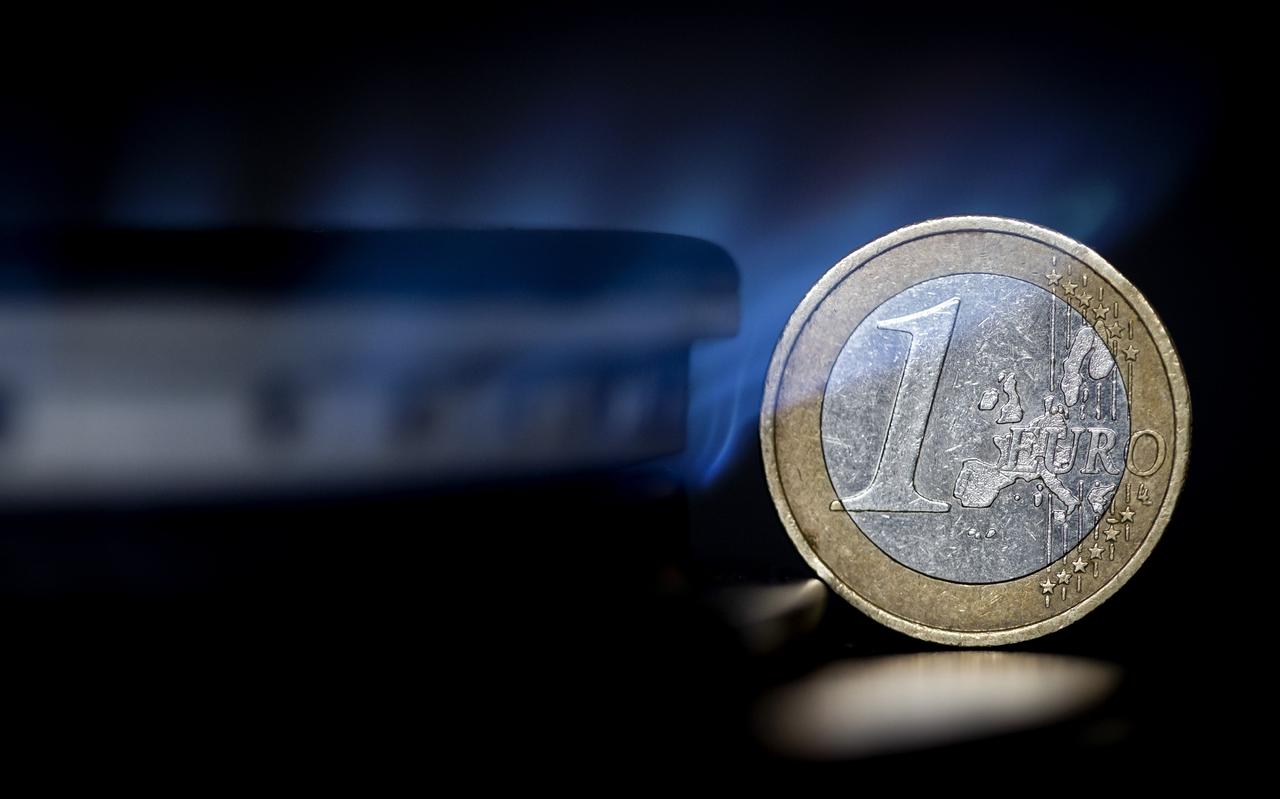 Ongeveer 550.000 huishoudens leven in energiearmoede. Ze wonen in een slecht geïsoleerd huur- of koophuis en hebben daardoor te maken met hoge energiekosten. Ongeveer 550.000 huishoudens leven in energiearmoede. Ze wonen in een slecht geïsoleerd huur- of koophuis en hebben daardoor te maken met hoge energiekosten.