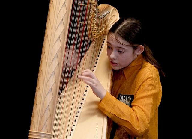 Opnieuw feestconcert op landgoed de Oldenhof in Vollenhove