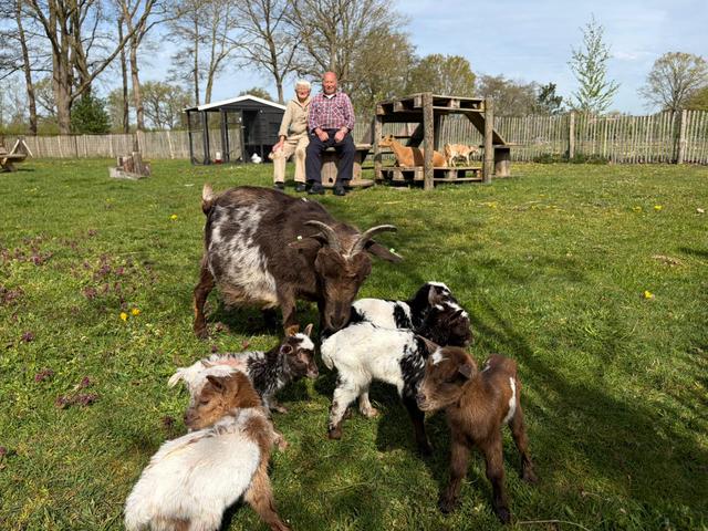 Gezonde geitenvijfling voor 90-jarige Jan en Geertje uit IJhorst