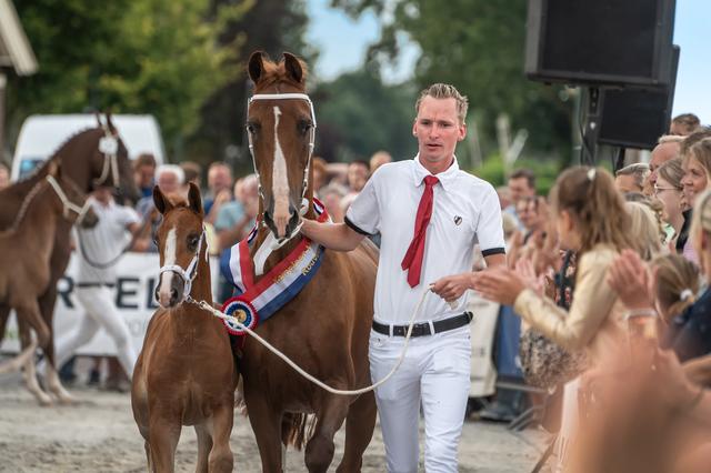 Dravende paarden en monsterknechten onder de antieke toren van Rouveen: 26ste Handelskeuring