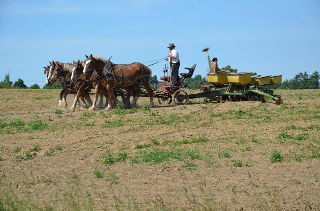Jouk Huisman vertelt alles over de Amish en Staphorst