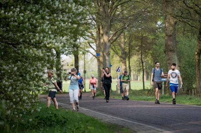 Wandelvereniging DOS in Dwingeloo haalt opgelucht adem. Drie nieuwe bestuursleden nemen stokje over