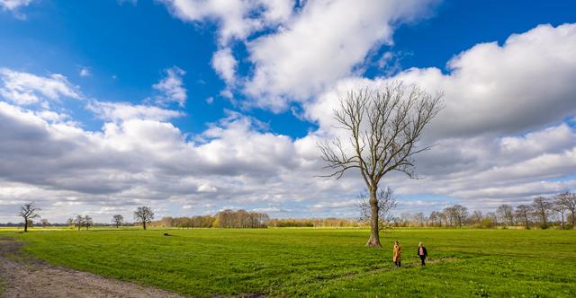 Verkenning windenergie Ruinerwold: onderzoeksopzet van onderaf opgesteld, extra geld nodig