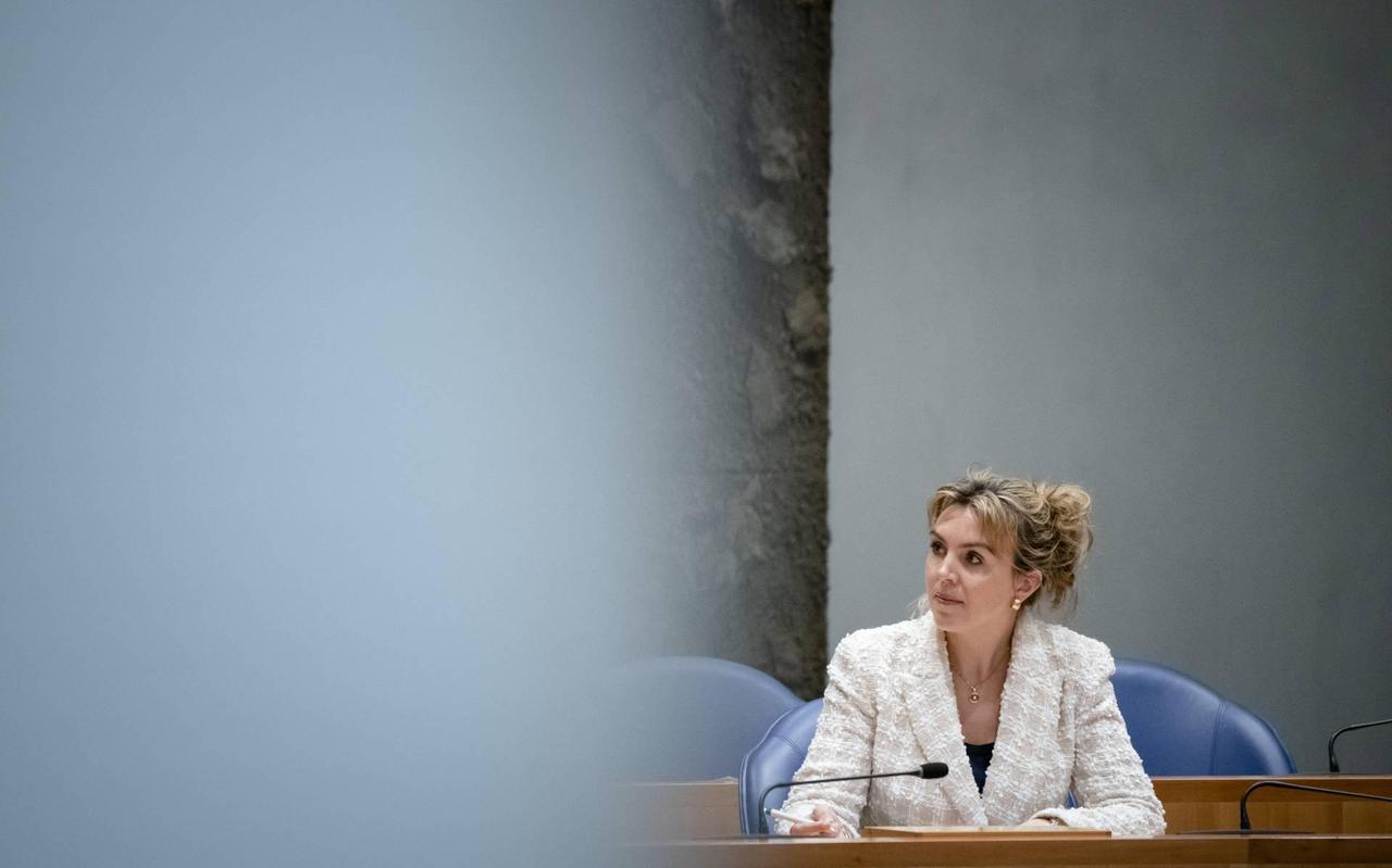 Staatssecretaris Vivianne Heijnen van spoorzaken in de Tweede Kamer