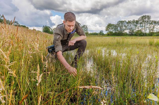 Onbedoelde binnenzee in het natuurgebied bij Uffelte laat haar sporen na. ‘Het is stil geworden’