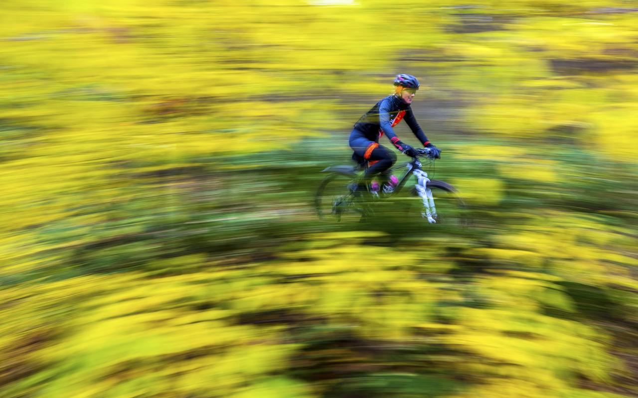 Mountainbiken is volgens velen een leuke manier om de natuur te beleven, maar de Partij voor de Dieren stelt vraagtekens bij het aanleggen van routes in beschermde natuurgebieden.