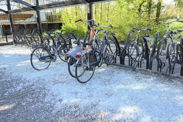 LIVE | File op A28 door botsing tegen middengeleider en station-West Delfzijl doelwit van vandalen