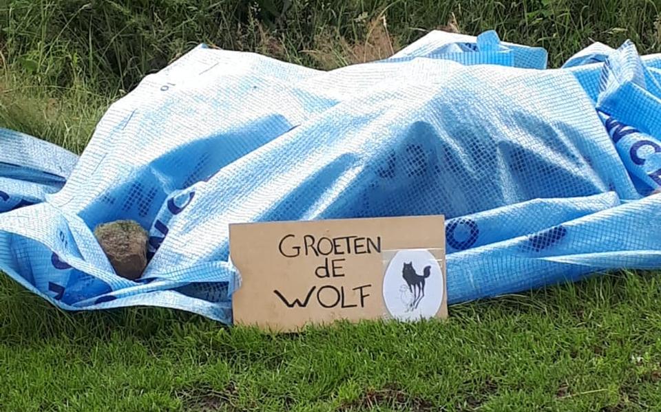Het bordje van Herman Kramer bij de kadavers van zijn dode schapen.