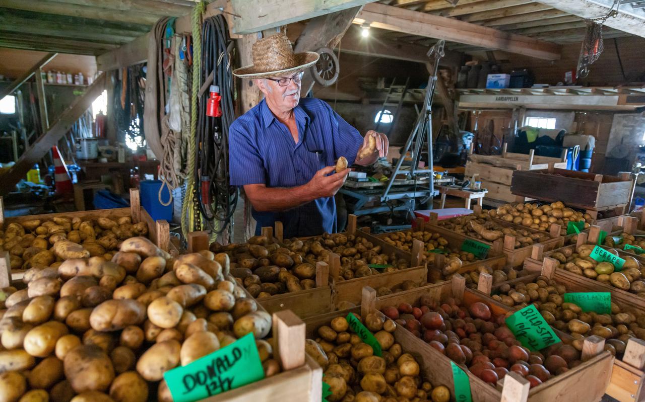 Harry Smit doet aan 'retrofarming' en verbouwt dertig verschillende soorten aardappel. Hij laat zijn ratte-aardappelen zien. 