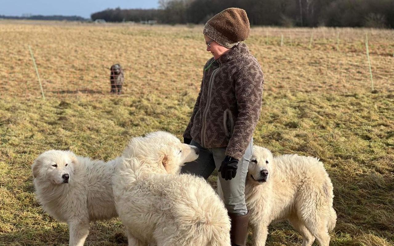 Erika Visser op een archieffoto met haar roedel beschermingshonden. Erika Visser op een archieffoto met haar roedel beschermingshonden.