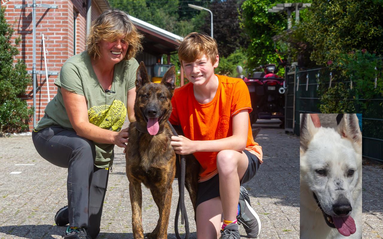 Jan Bijmholt en haar zoon Renzo na 20 maanden weer herenigd met hun honden Max en Rex (inzet).
