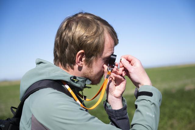 Grootschalige telling bestuivende insecten in Groningen