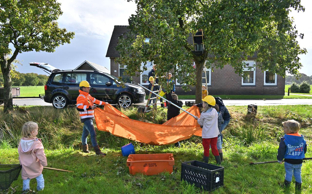 Met vijf gezinnen was de familie Kolk vanuit Genemuiden en Den Haag naar Ruinerwold gekomen om peren te plukken. Tien bomen werden gekocht en leeggehaald. 'We maken er een familie-uitje van.'
