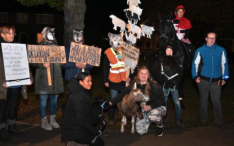 Roodkapje kwam donderdagavond op haar paard naar het gemeentehuis in Zuidwolde en werd vergezeld door een pony, wat geiten en vermomde wolven om de gemeenteraad ban De Wolden een duidelijke boodschap mee te geven..