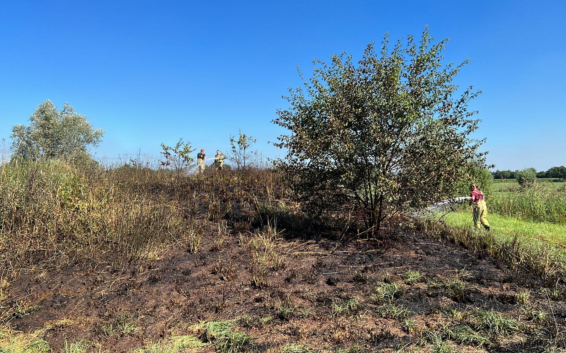 Brand verwoest ruim 400 vierkante meter natuur bij Ruinerwold - Meppeler Courant