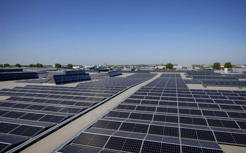 GroenLinks in Meppel wil zonnepanelen verplichten.